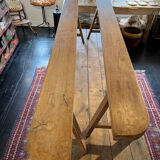 Pair of bench 19 th