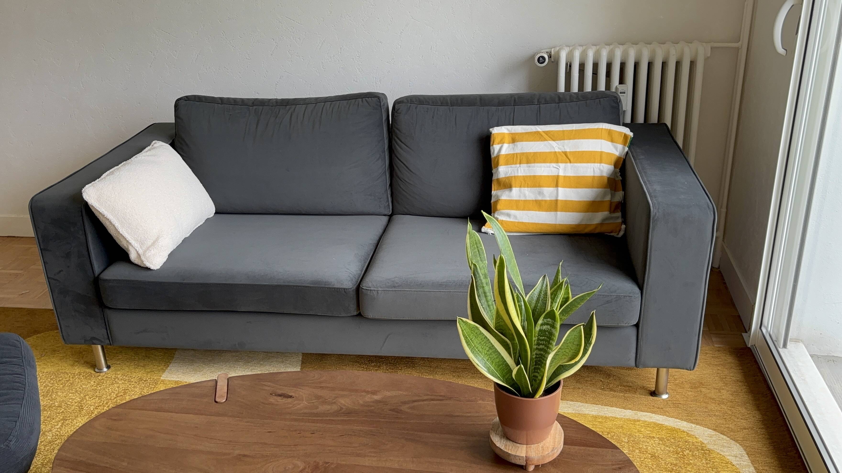 Canapé Boconcept vert velvet 2,5 places