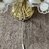 Pair of vintage golden sconces and lucite flowers