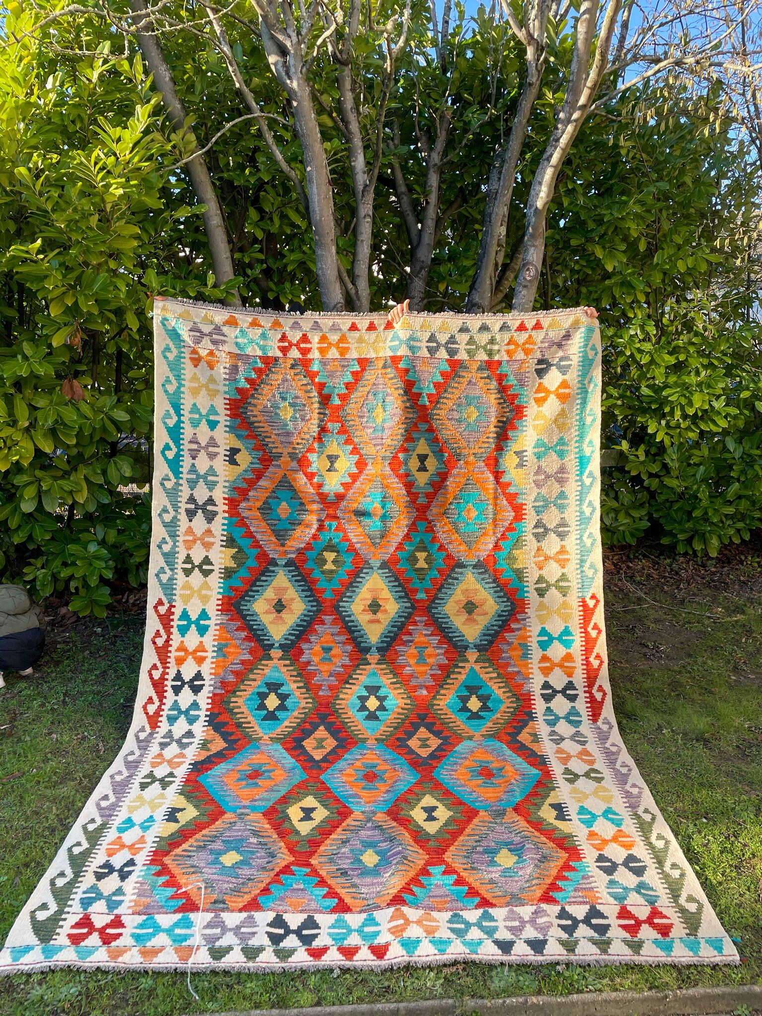 Oriental kilim rug afghan colored red and multicolored