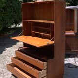 Danish Tique 1970's Compact Wall Unit
