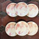 6 dessert plates views of orient rose