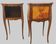 Suite of two Louis XV style bedside tables in mahogany and rosewood 20th century