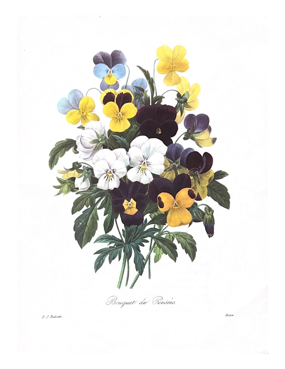 The bouquets of spring - PJ Redouté