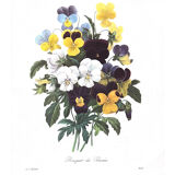 The bouquets of spring - PJ Redouté