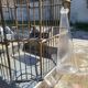 1900 Bird Cage Feeder and Drinker