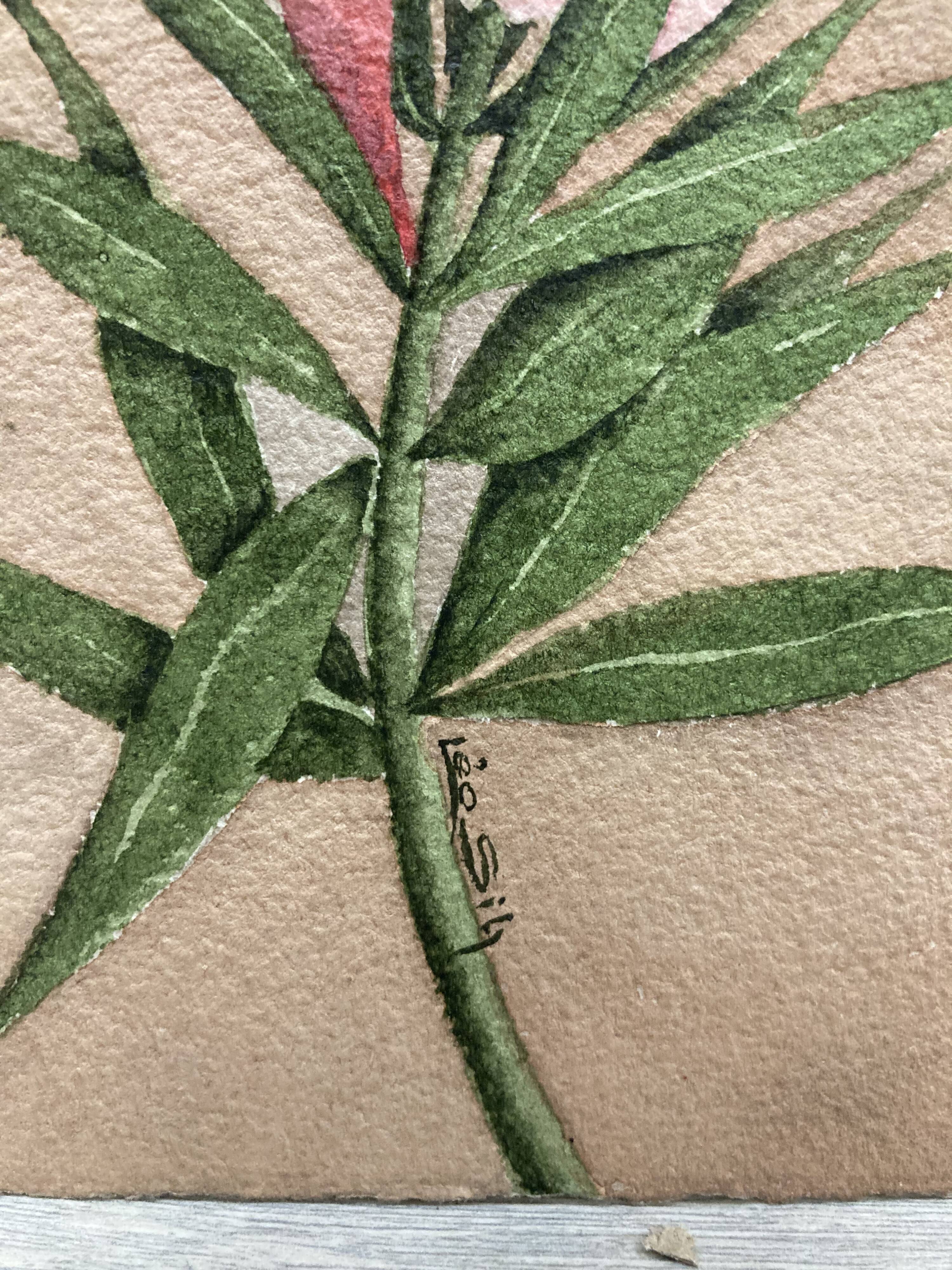 Signed watercolor with oleander flowers
