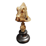 Cabinet of Curiosities naturalized fish tetrosomus concatenatus on base
