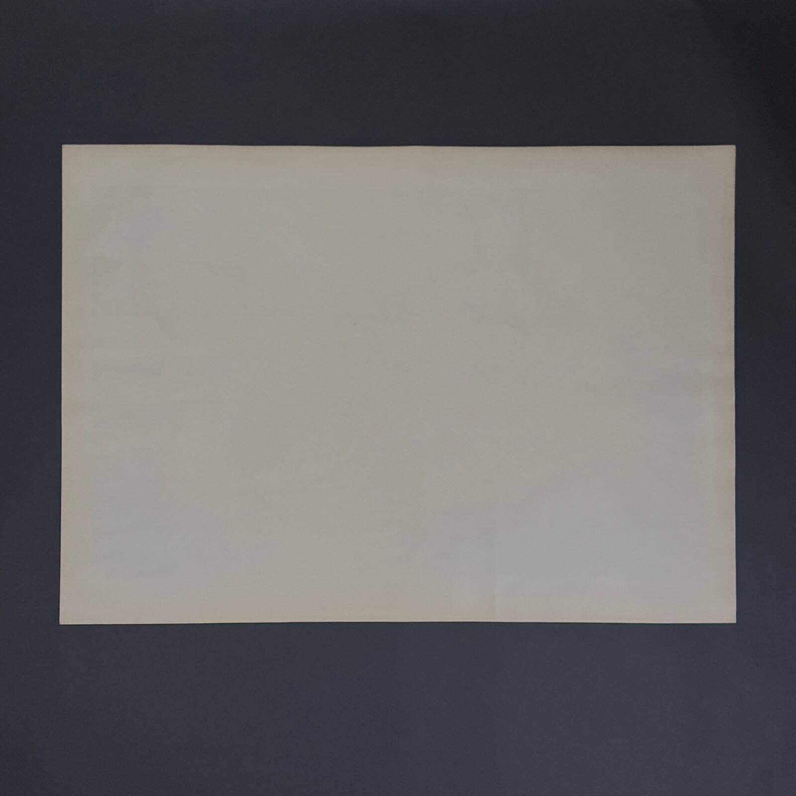 Lithograph by Henri Rivière Parisian Landscapes - The Trocadéro