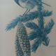 Blue tit in charcoal on board under glass, signed