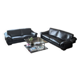 Roche bobois sofa