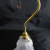 Gooseneck frosted glass Tulip applique