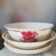 5 iron earth dishes