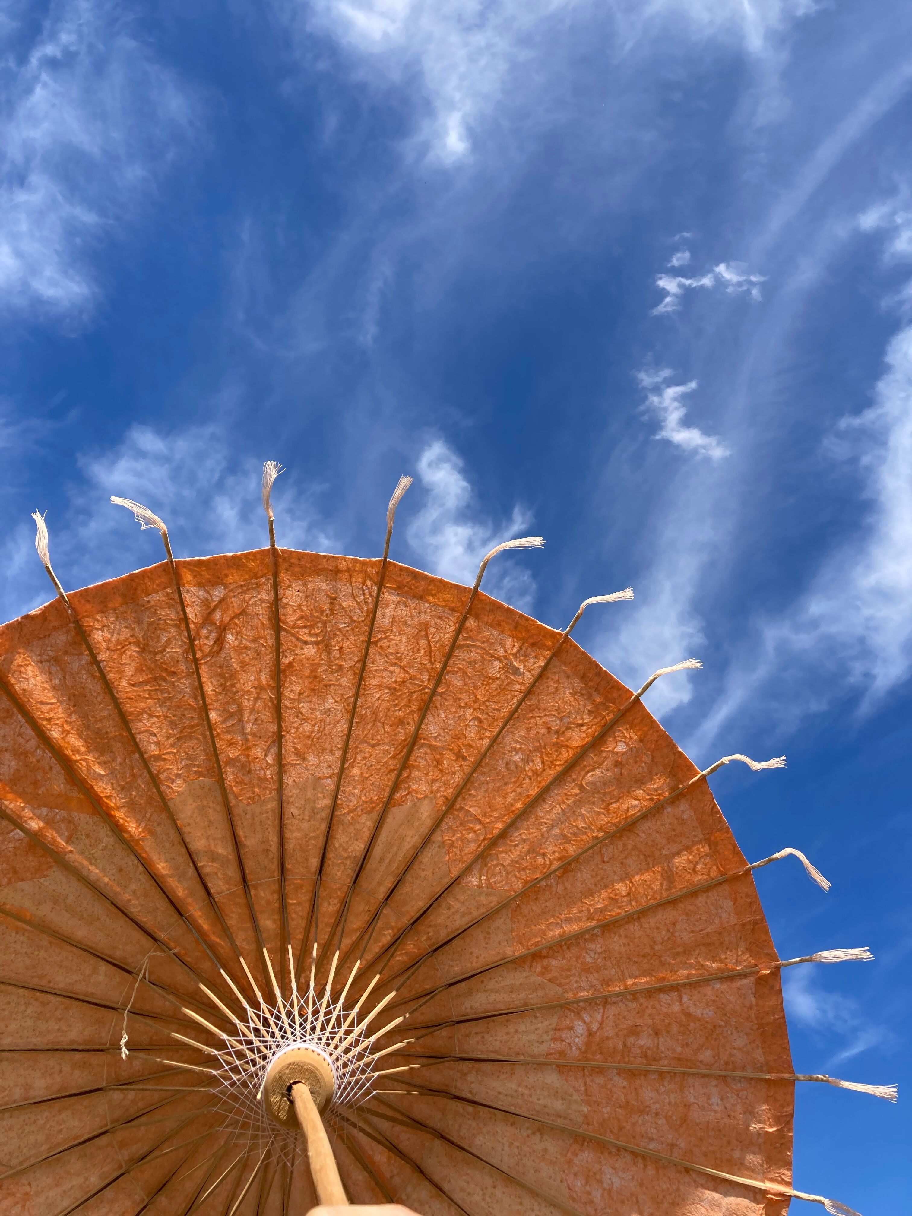 Powder pink paper umbrella and wooden handle