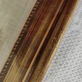 Butterfly taxidermy frame