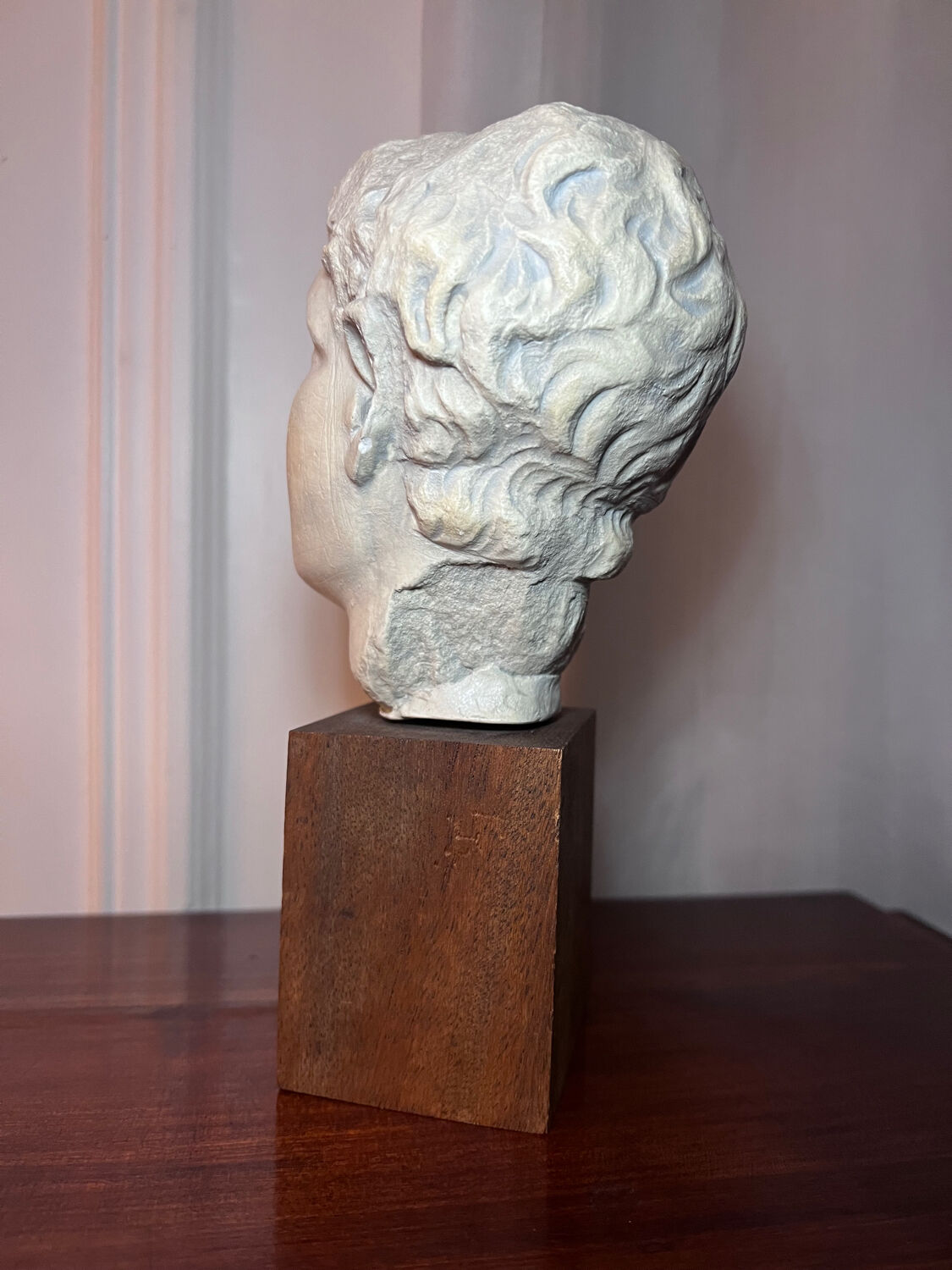 Bust, head of a young man - reproduction from the museum of Sens