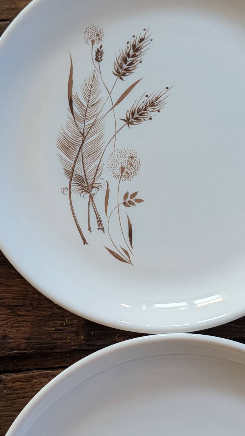 4 Sovirel opaline plates from the 1960s