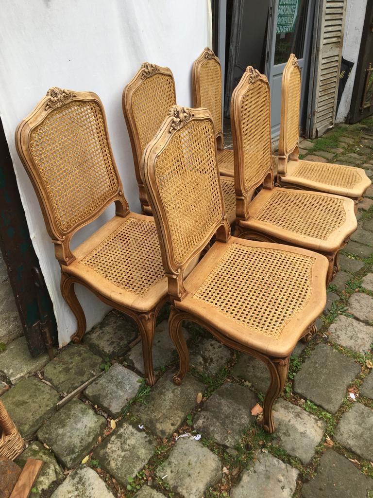 Series of 6 Chairs louis xv acanthus leaves and shell decapitated