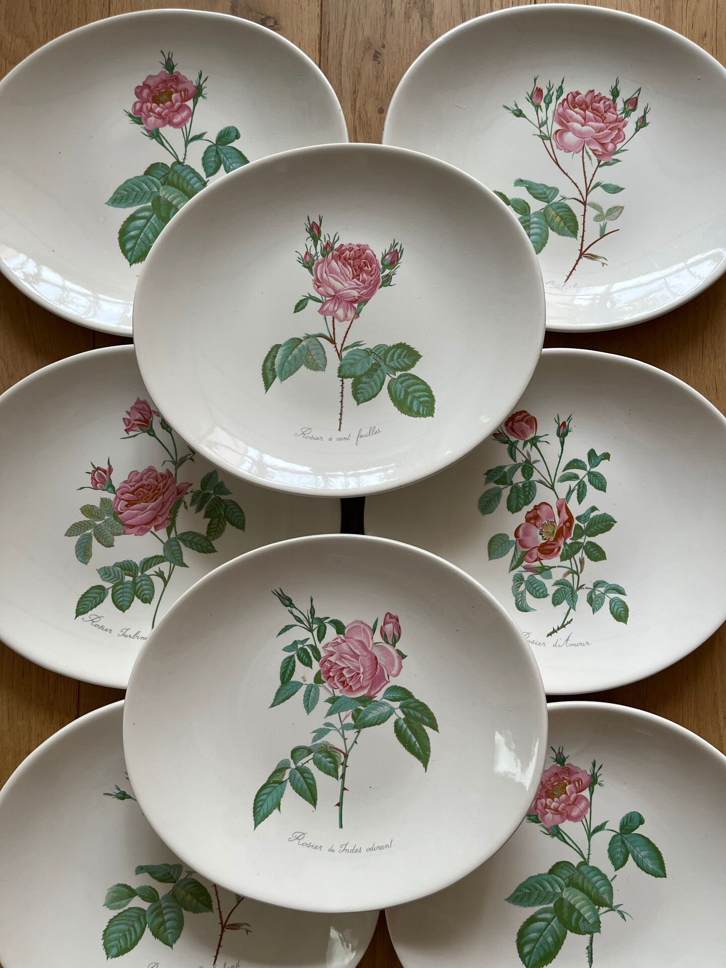 8 earthenware plates Salins - Rose de Redouté