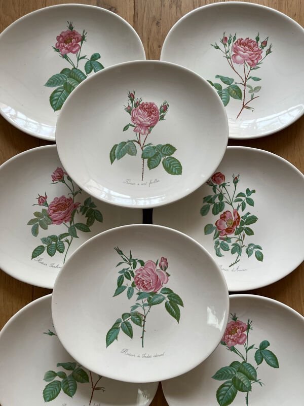 8 assiettes en faïence Salins - Rose de Redouté