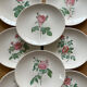 8 earthenware plates Salins - Rose de Redouté