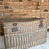 Old trunk
