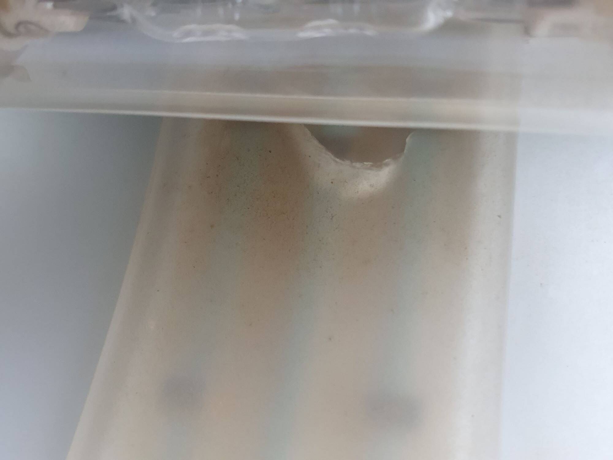 Pair of vintage gold half-moon wall sconces