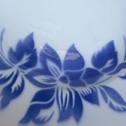 6 deep plates in Sarreguemines Digoin earthenware