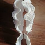Giant clam shell