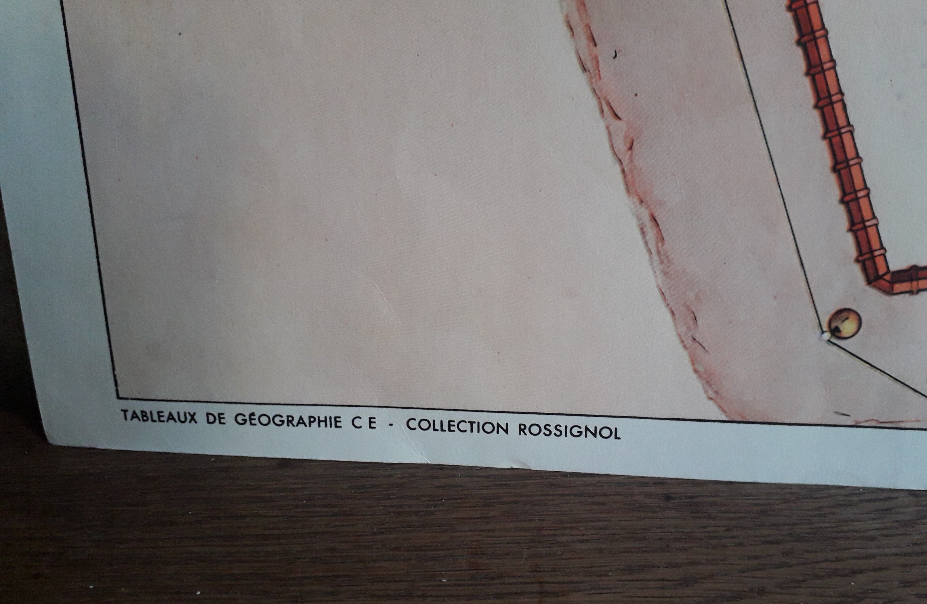 School poster 50s, Rossignol editions, cardinal points the school plan