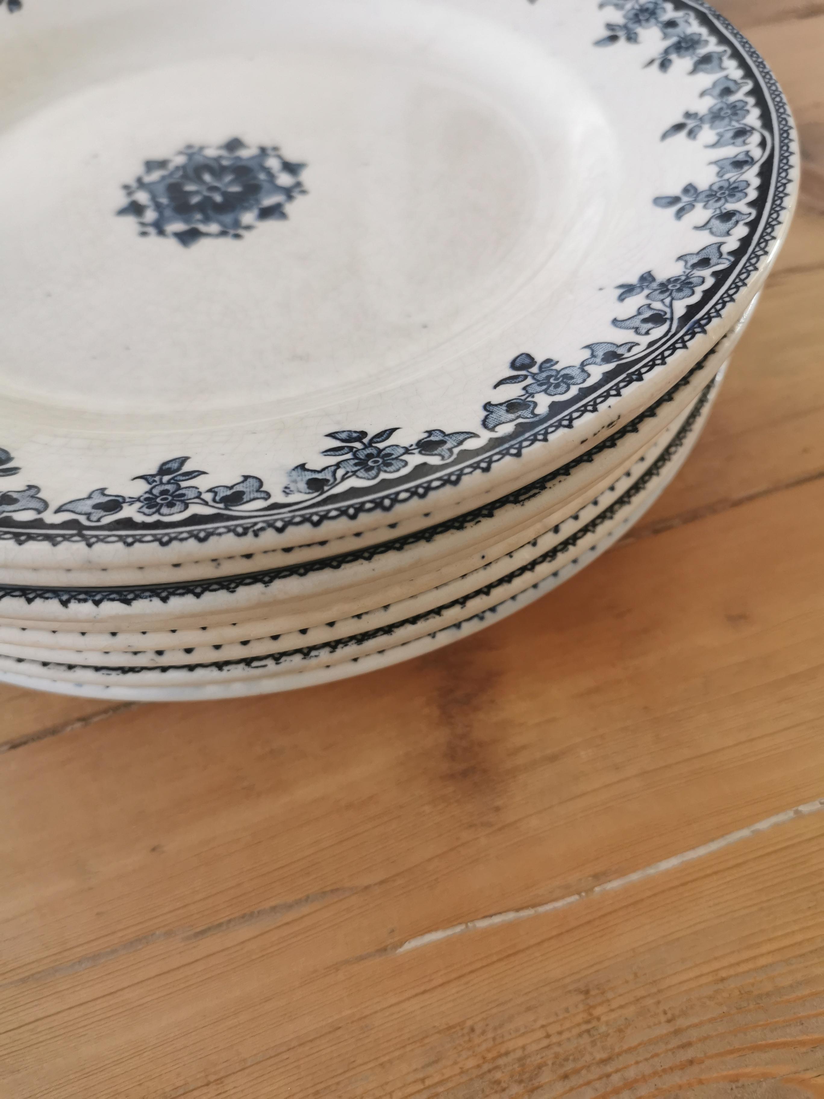 Service of 8 vintage plates in Iron Land