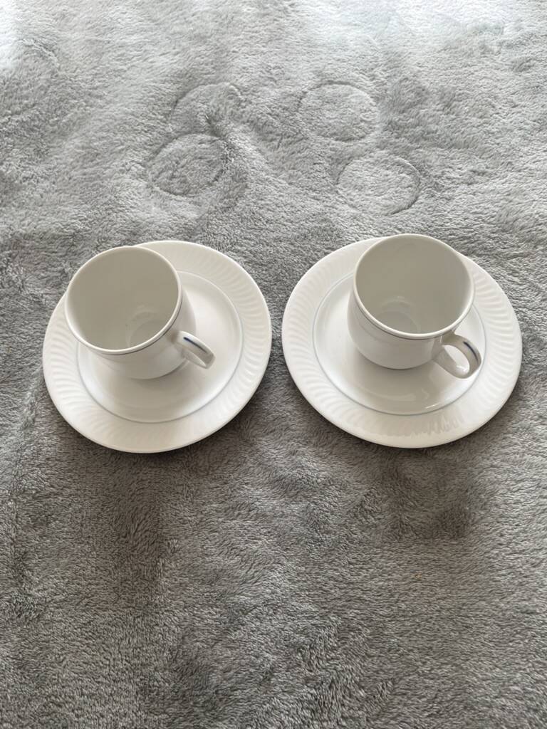 Seltmann Weiden Coffee Cup and Saucer Duo