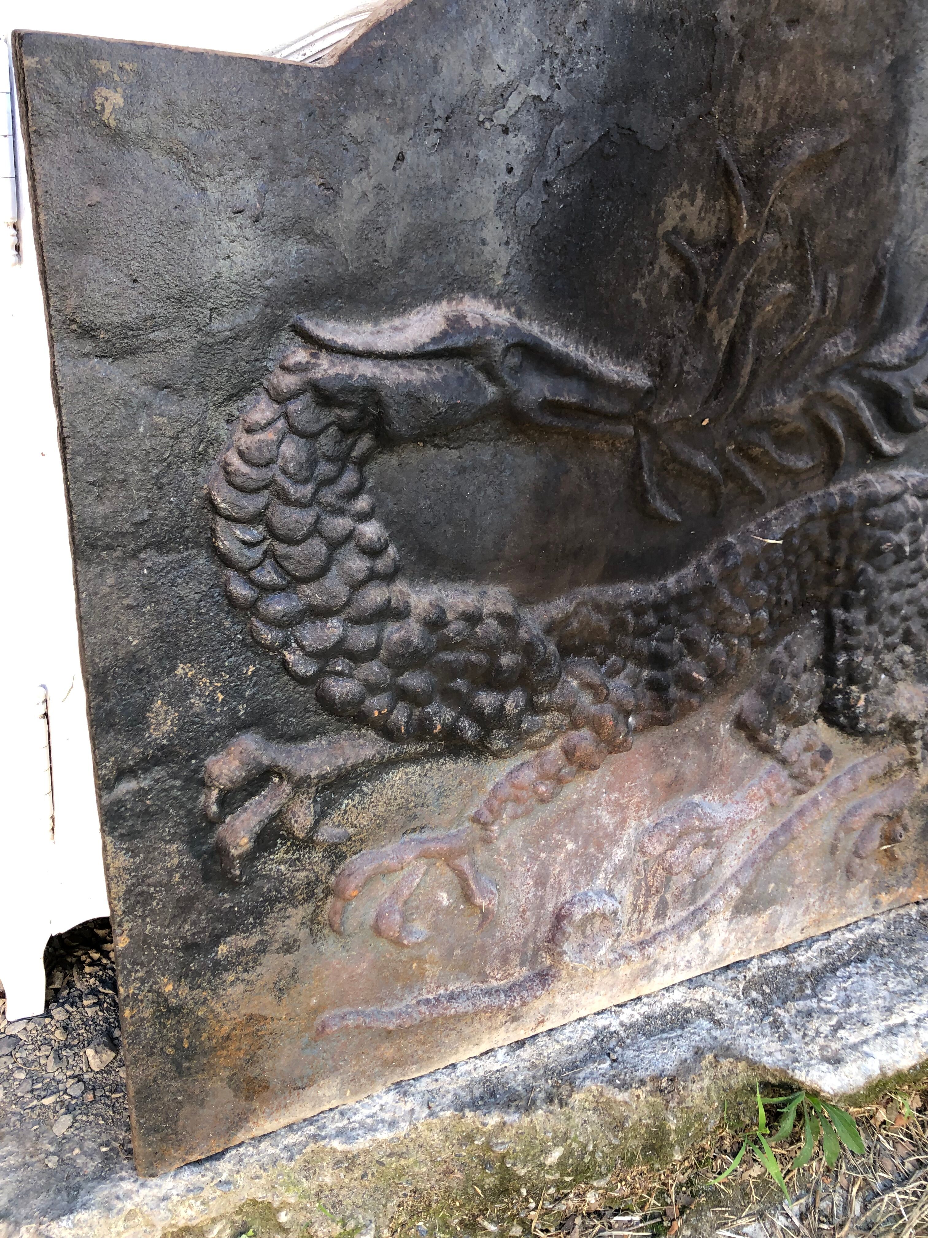 Cast iron fireplace plate