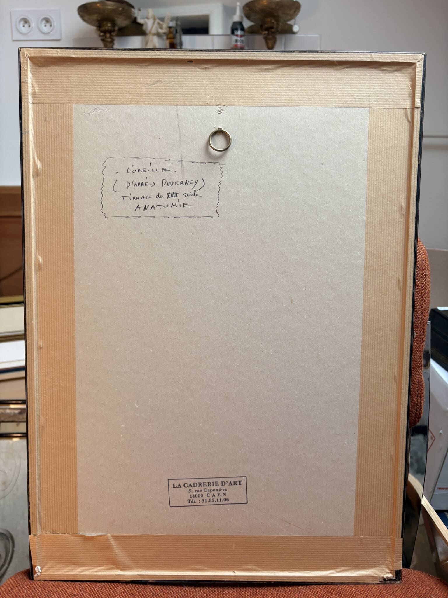 Engraving of Verney Duverney Valsava Encyclopaedia Direct Anatomy Ear