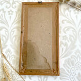 Vintage wood frame dried flowers under glass