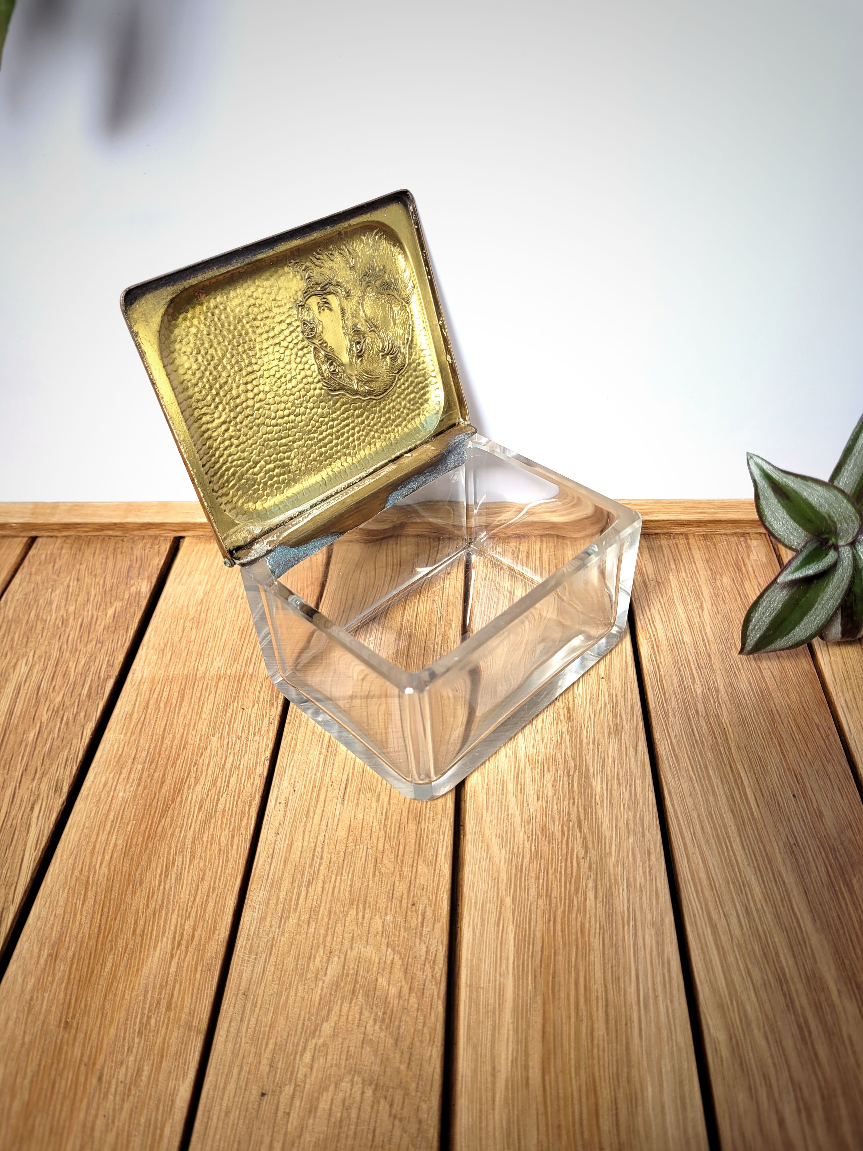 Glass & brass dog box