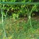 Table de jardin "vintage 50"