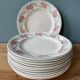 Série de 12 assiettes plates 1900 Terre de Fer en faïence de Longwy