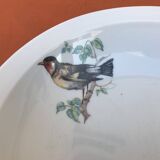 Old dish Decor Beaks and Feathers Pillivuyt France Deposited