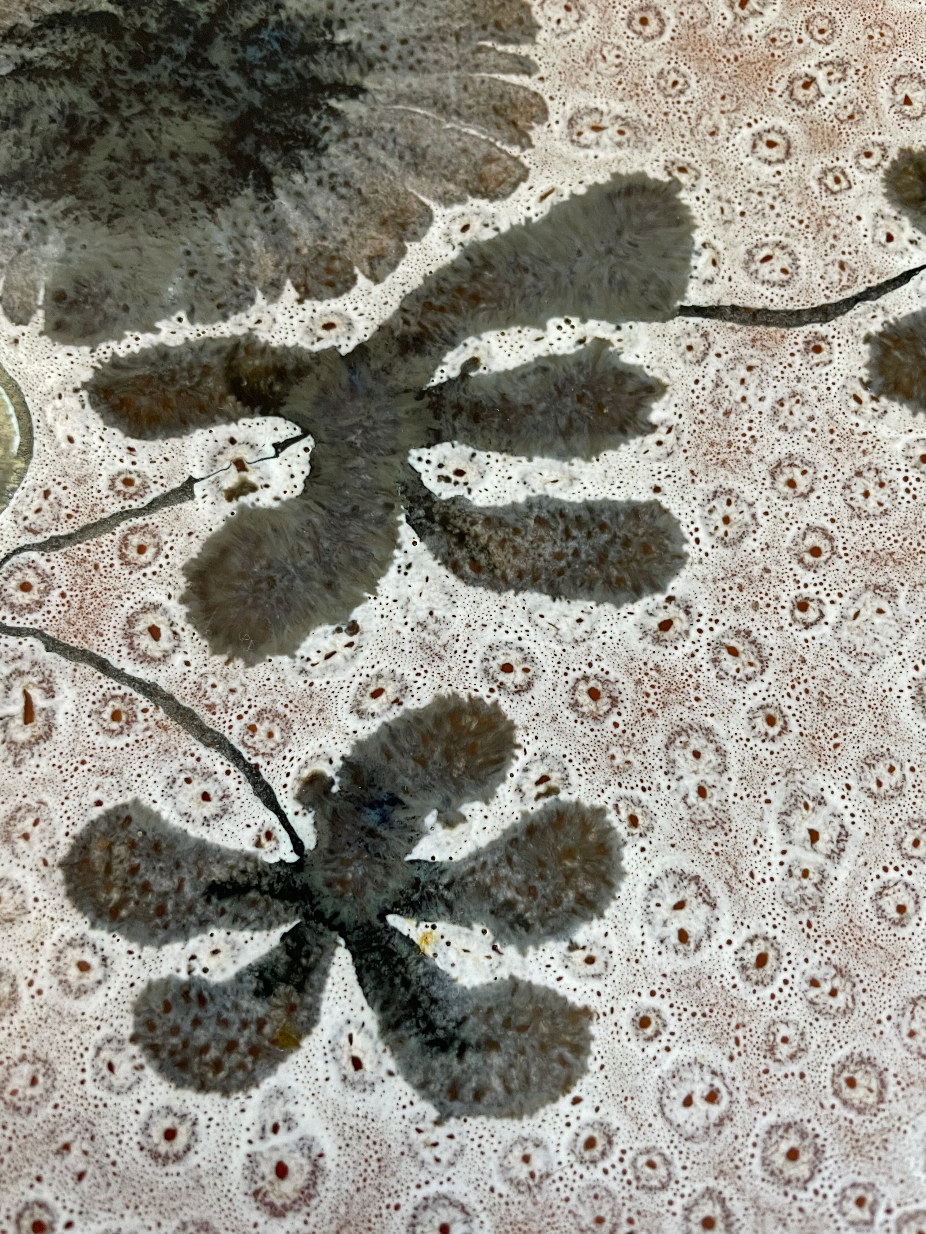 Vintage MBFA Pornic dish