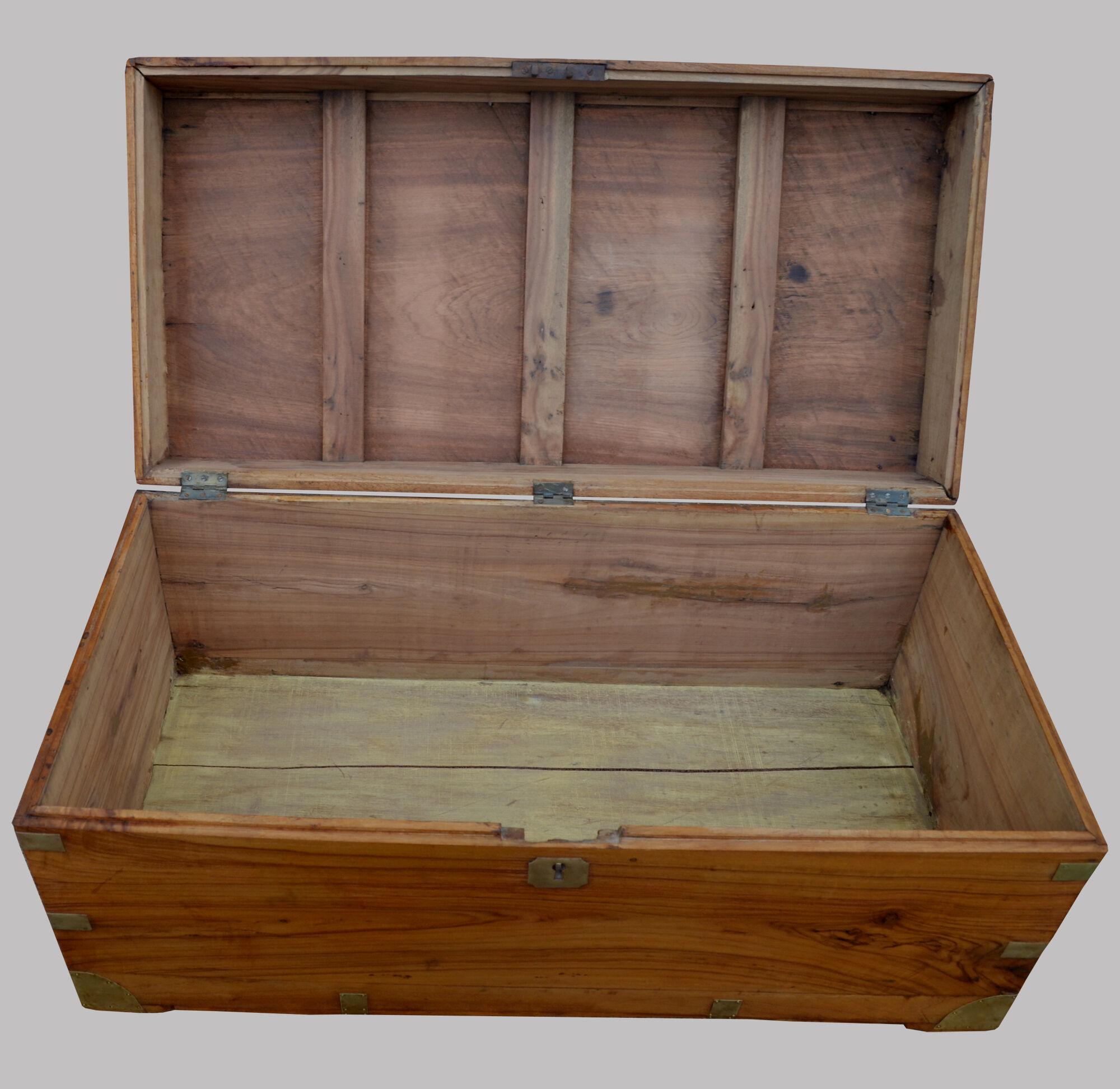 Chest in camphor tree