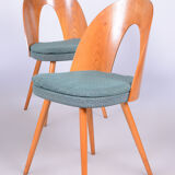 Set of Four Original Midcentury Ash Chairs by Antonin Suman, Czechia, 1930s
