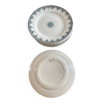 Tierra del Fuego Plates