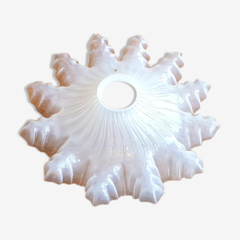 Moulded glass flower shade