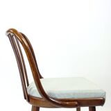 Ensemble de 4 chaises de salle à manger en chêne foncé courbé par Jitona, Tchécoslovaquie 1960