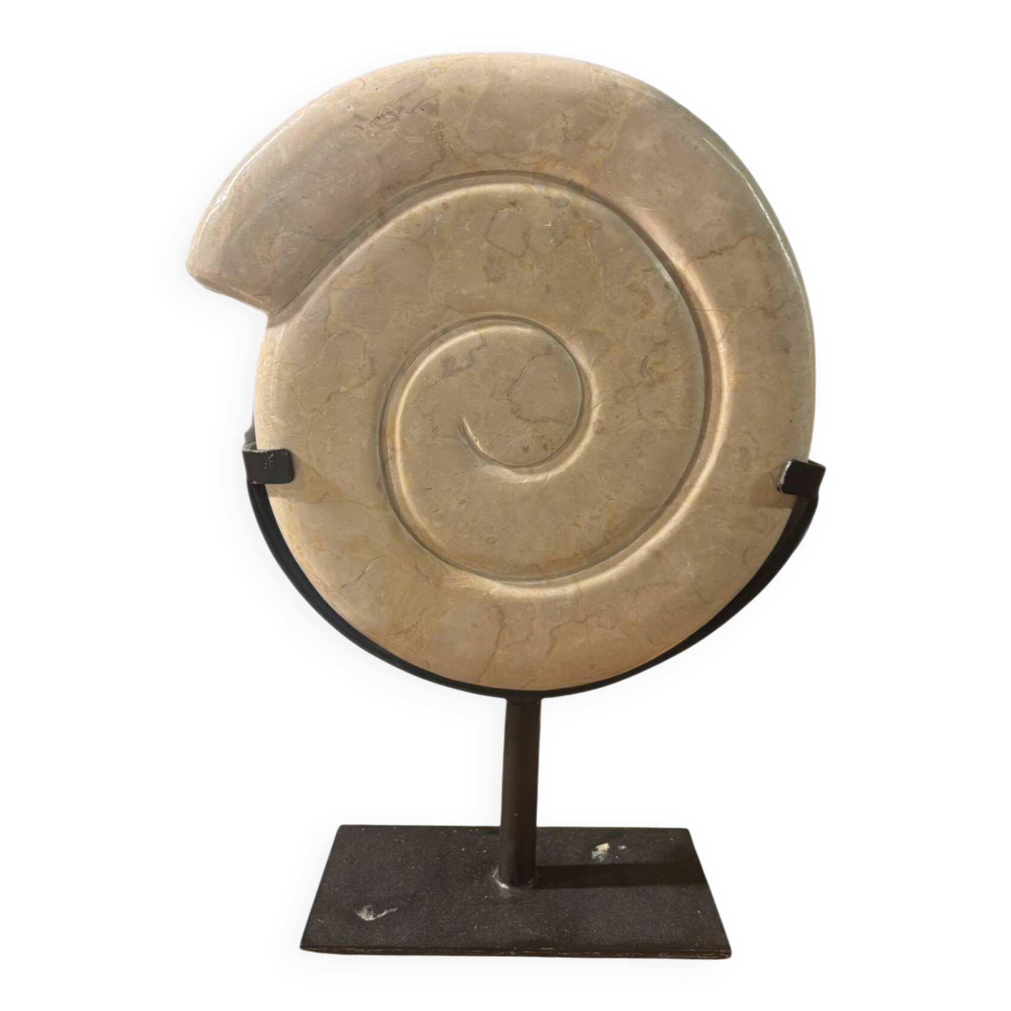 Shell in stone carved on a base