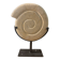 Shell in stone carved on a base