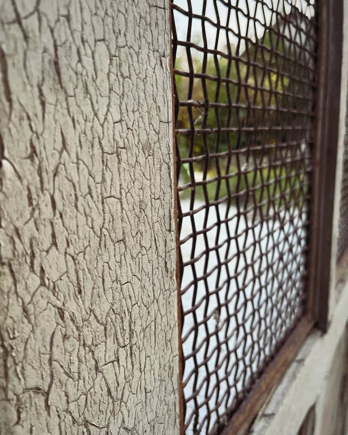 Farm door 1940/50 in oak