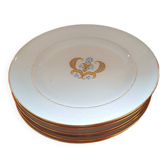 6 Bavaria dinner plates. Annabel model. White, gold edging. Central motif.