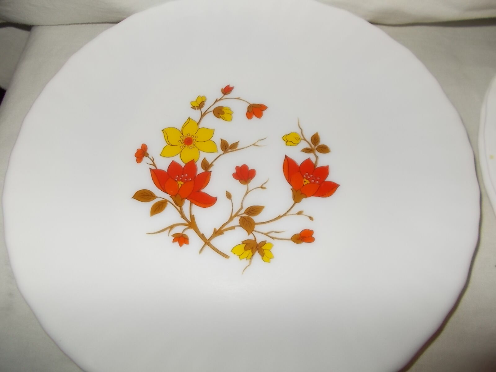 4 vintage Arcopal plates